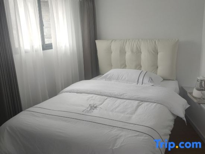 Comfort Single Apartment