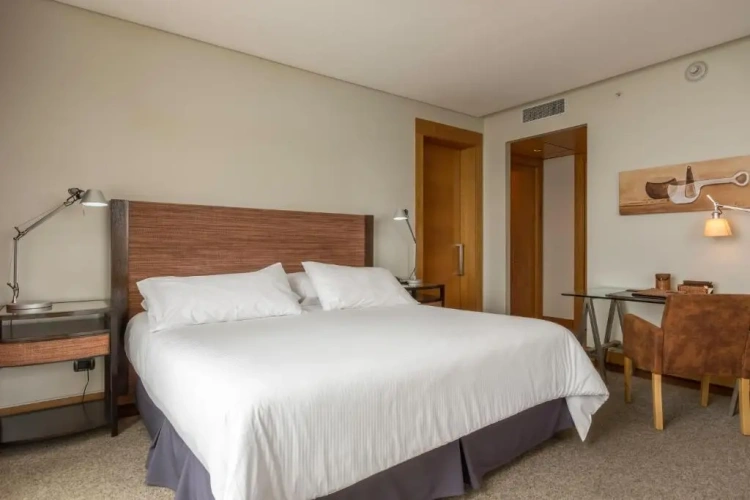 Presidential Double Suite with view