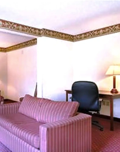Single Suite