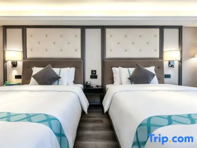 Deluxe Single Suite