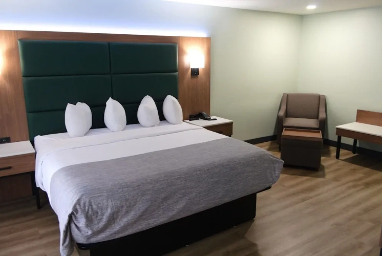 1 Bedroom Standard Double room