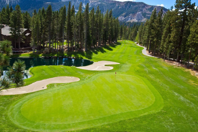 Inside Yosemite Spring Wonderland