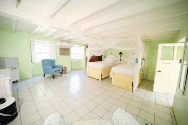 Standard Twin room with garden view