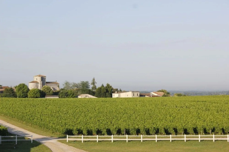 Château des Arras