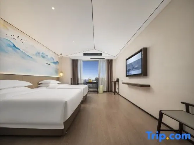 Standard Twin room with view