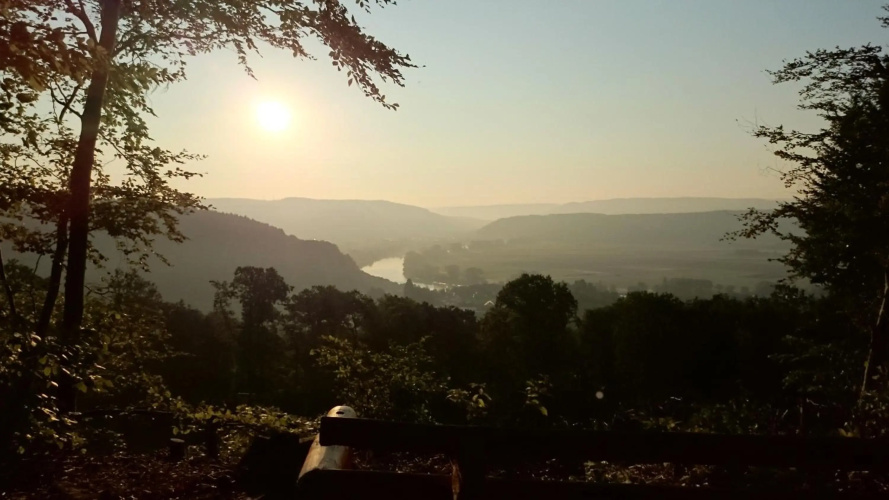 Stadt und Wald