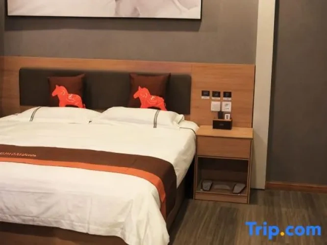 Single Suite