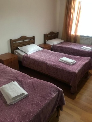 Standard Double room with garden view
