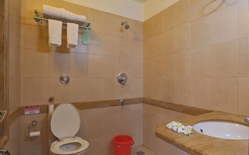 Deluxe room with partial view