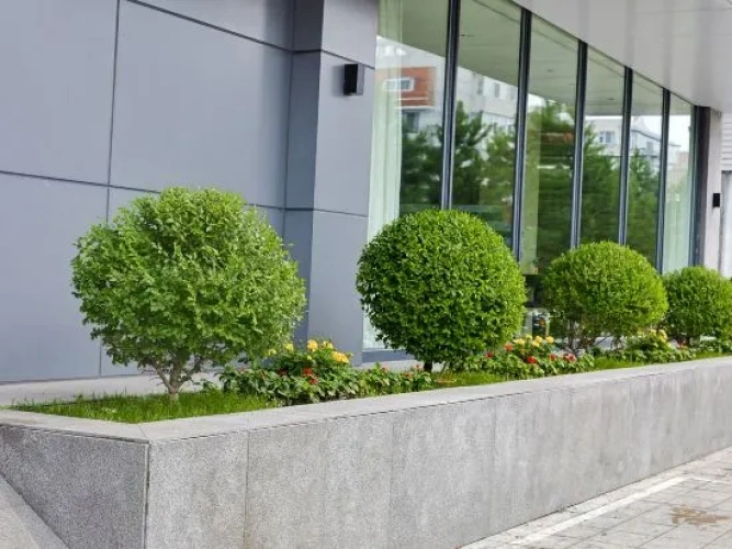 Outside