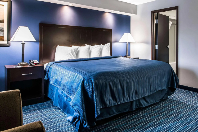 Clarion Pointe Downtown