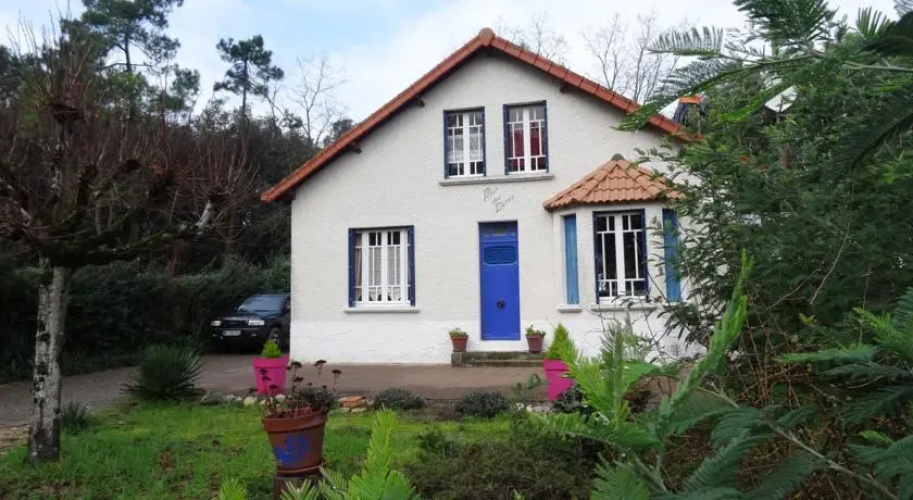 Fleur des Dunes