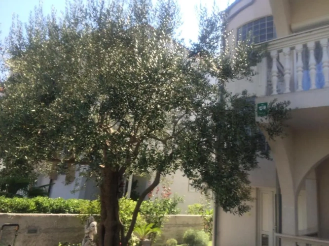 2 Bedrooms Apartment with balcony and with view