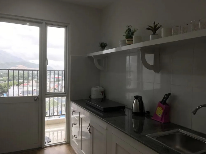 Handy Luxury Apartment