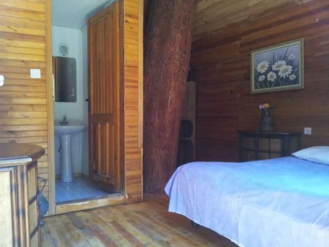 Kadir's Tree Houses