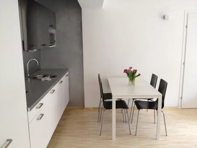 1 Bedroom Apartment