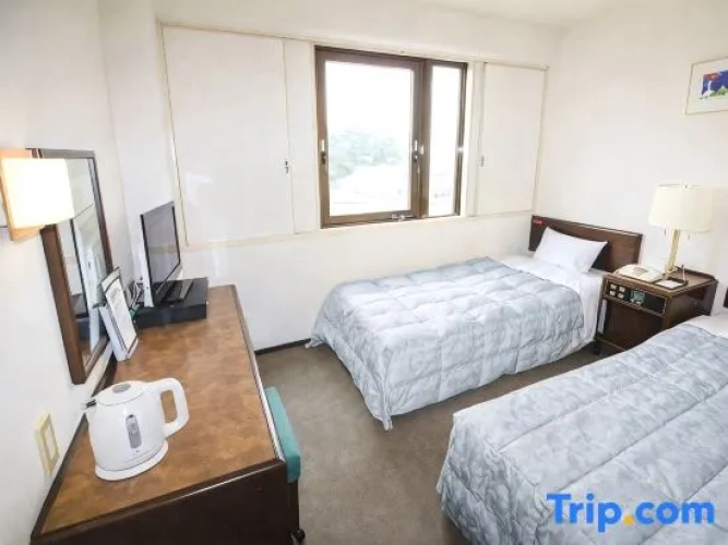 Standard Twin room with mountain view