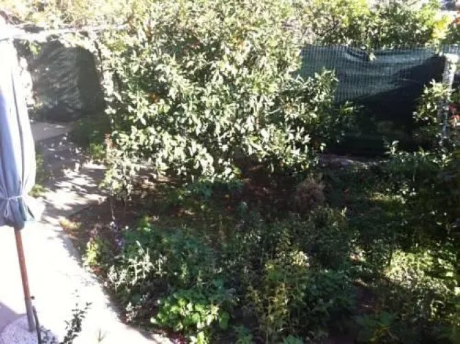 Guest House Drage