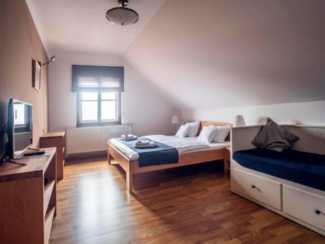 1 Bedroom Apartment