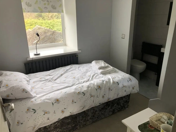 Deluxe Single room