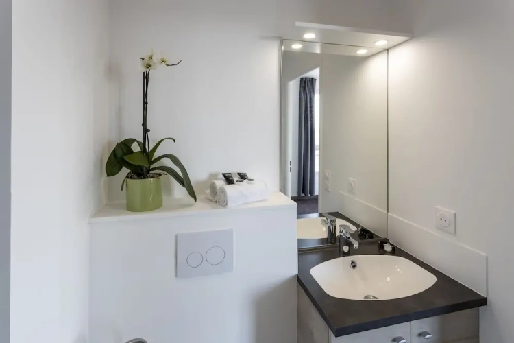 Standard Apartment