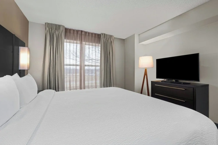1 Bedroom Suite