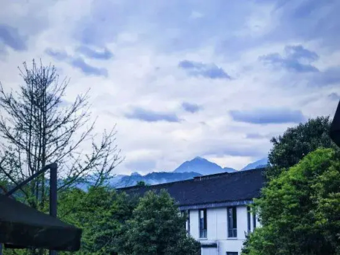 365 Boutique Homestay