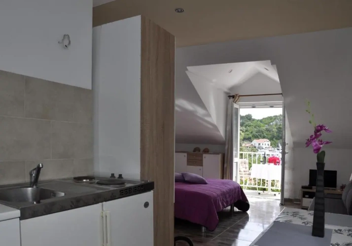 Studio with balcony and with sea view