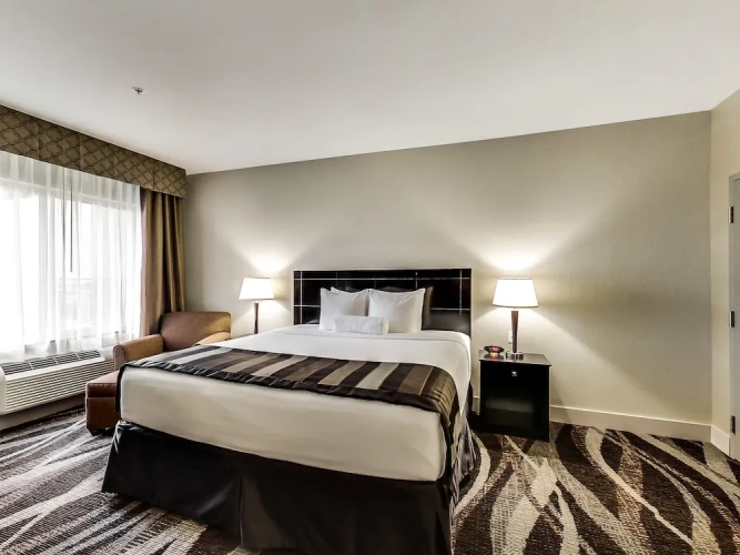 1 Bedroom Suite