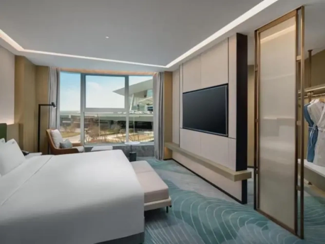 1 Bedroom Suite