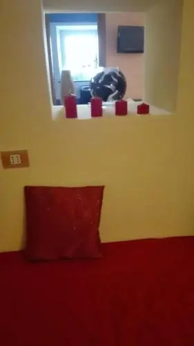 Sally's House