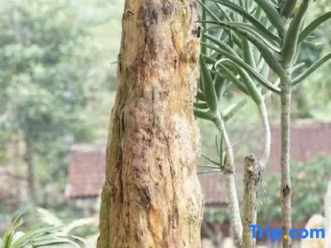 Lembah Batu Heritage