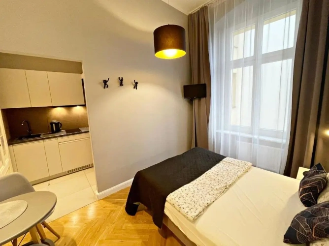 Standard Double Apartment with city view