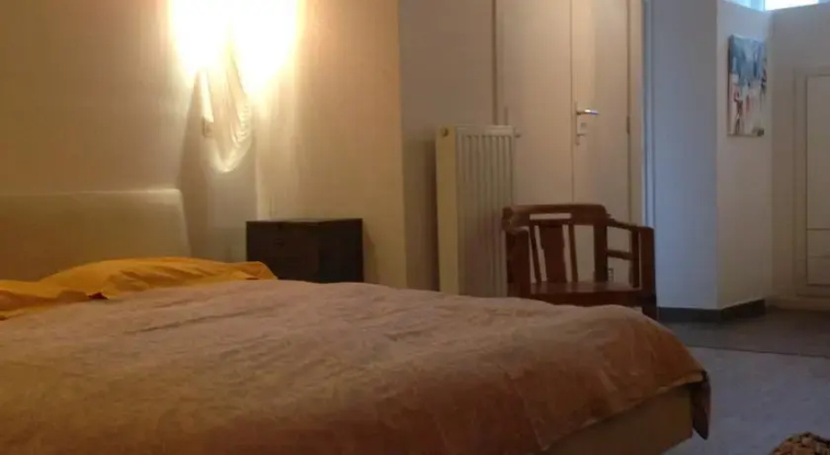 Aparthotel The Delphine
