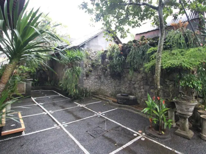 Ubud 18