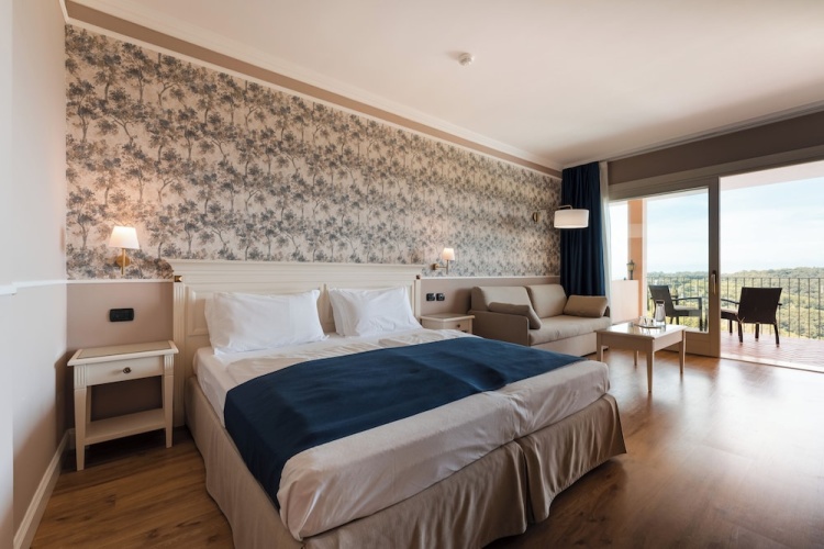 1 Bedroom Junior Suite with lake view