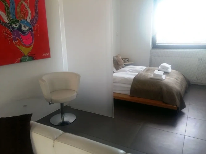 Luxury Apartment