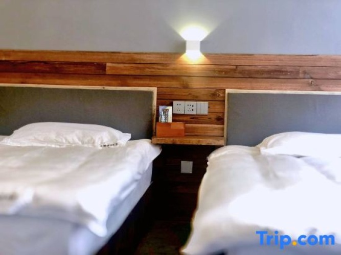 1 Bedroom Standard Double room