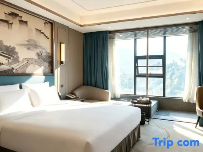 Deluxe Double room with city view