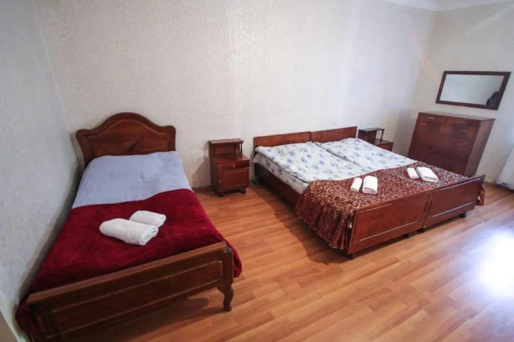 Standard Double room with balcony and with view