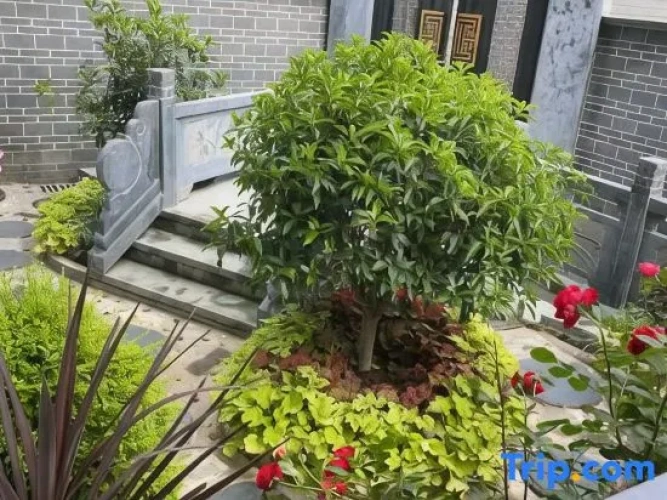 Outside