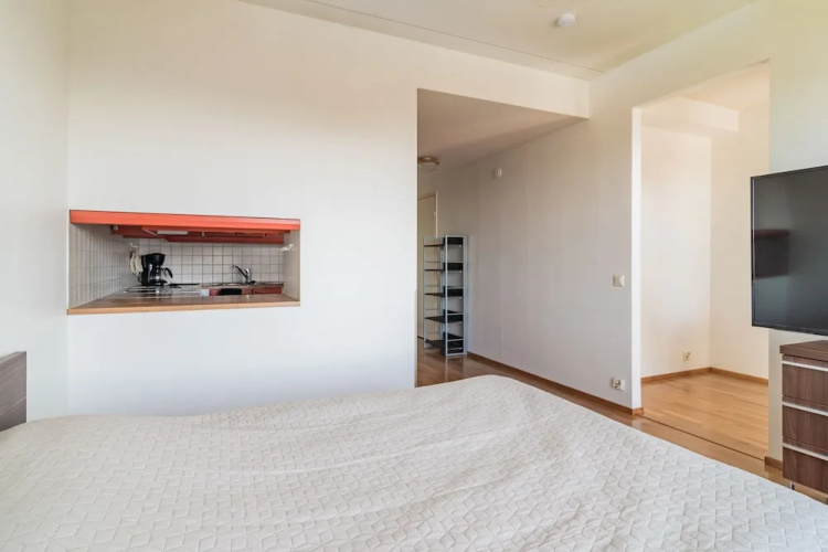 Local Nordic Apartments - Bald Eagle