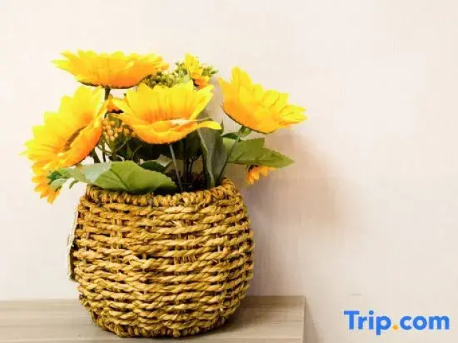 Qingyaju Homestay