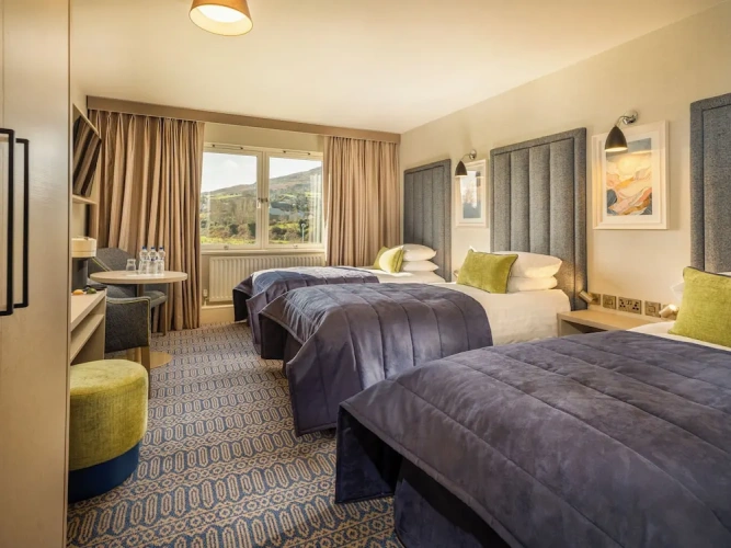 Executive Single room