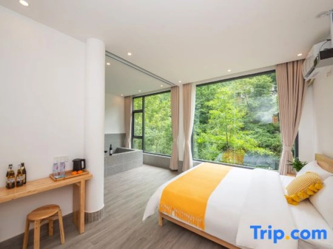 Standard Double room with river view