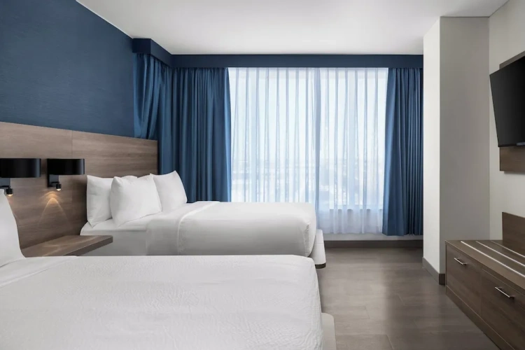 1 Bedroom Suite