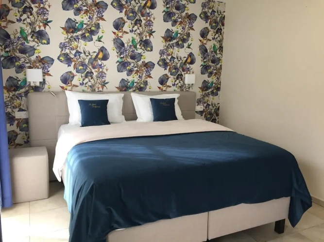 Deluxe Double room with garden view