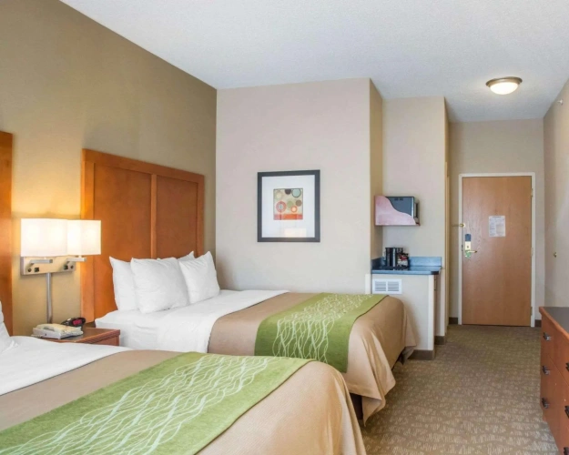 Standard Quadruple room