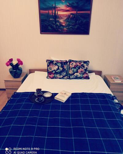 Фотография номера мини отеля Вояж