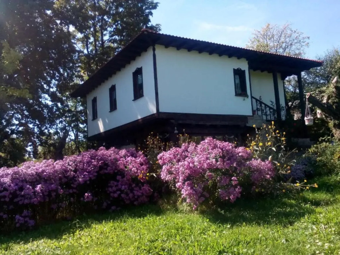 Complex Roden Kray